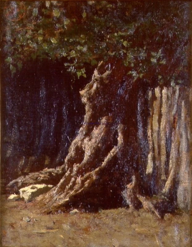 Albero - Palazzo Fortuny, precedentemente Palazzo Pesaro degli Orfei, Sestiere de San Marco, Venezia